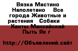 Вязка Мастино Наполетано  - Все города Животные и растения » Собаки   . Ханты-Мансийский,Пыть-Ях г.